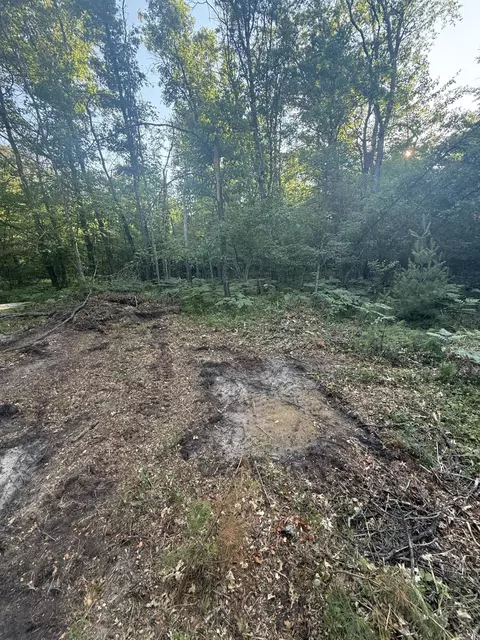 Exterior - Michael Drive, Alger, MI 48610 photo 3 of 17