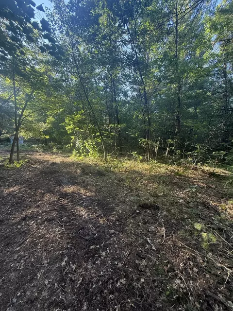 Exterior - Michael Drive, Alger, MI 48610 photo 1 of 17