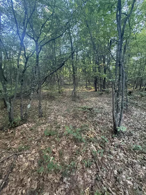 Exterior - Michael Drive, Alger, MI 48610 photo 6 of 17