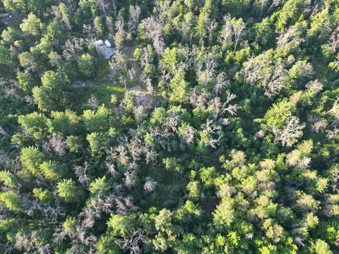 View/Area - Michael Drive, Alger, MI 48610 photo 2 of 2