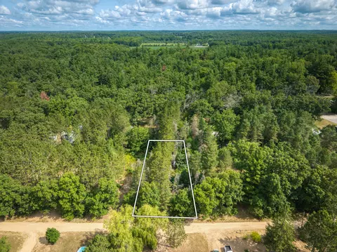 6313 E 29th St, White Cloud, MI 49349 photo 8