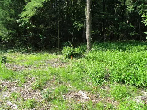 105 Th Ave #PARCEL 05, Pullman, MI 49450 photo 5