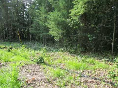 105 Th Ave #PARCEL 05, Pullman, MI 49450 photo 8