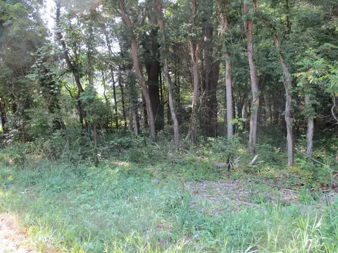 105 Th Ave #PARCEL 05, Pullman, MI 49450 photo 3