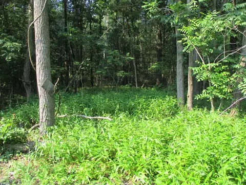 105 Th Ave #PARCEL 05, Pullman, MI 49450 photo 7