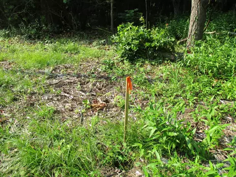 105 Th Ave #PARCEL 05, Pullman, MI 49450 photo 6