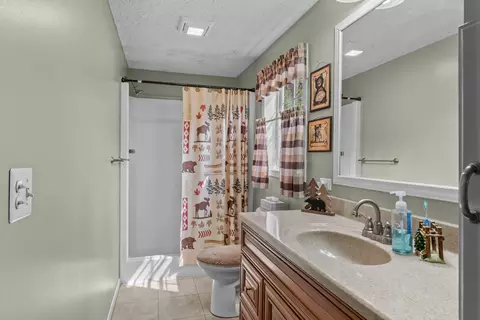 Bath - 8242 Spruce Dr, Reading, MI 49274 photo 2 of 2