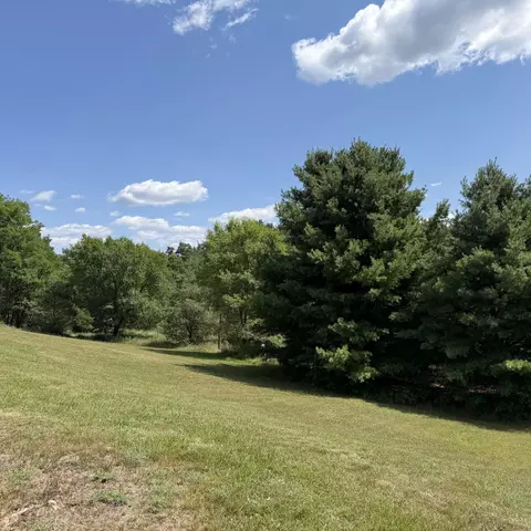 Exterior - 456 Maple St, Custer, MI 49405 photo 7 of 10
