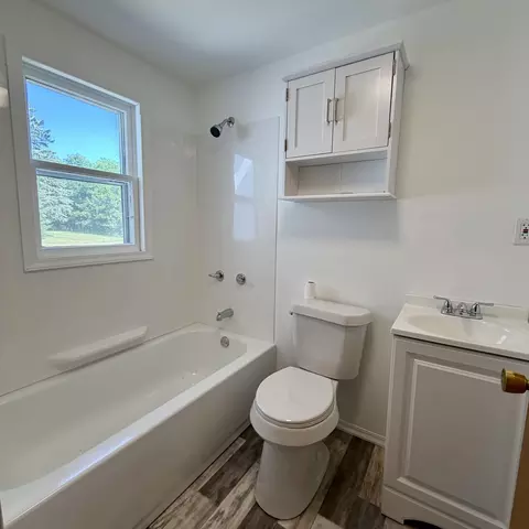 Bath - 456 Maple St, Custer, MI 49405 photo 1 of 1