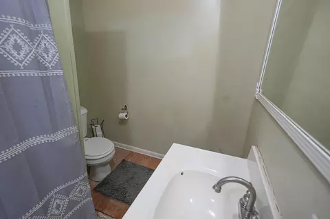 Bath - 910 Pleasant St, Belding, MI 48809 photo 3 of 4