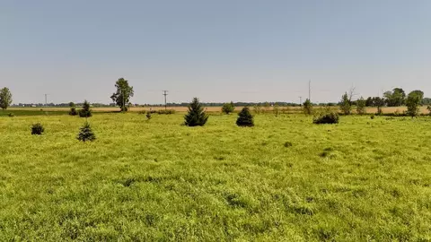 Other - V/l S Santiago Road, Au Gres, MI 48703 photo 1 of 4