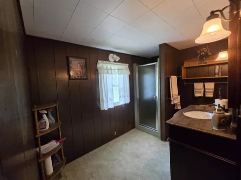 Bath - 4250 Rives Junction Rd, Jackson, MI 49201 photo 4 of 5