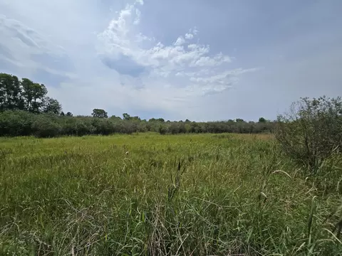 Other - 4250 Rives Junction Rd, Jackson, MI 49201 photo 42 of 42