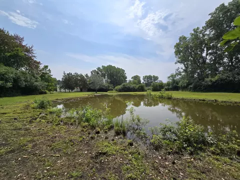 View/Area - 4250 Rives Junction Rd, Jackson, MI 49201 photo 3 of 5