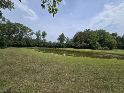 Exterior - 4250 Rives Junction Rd, Jackson, MI 49201 photo 35 of 42