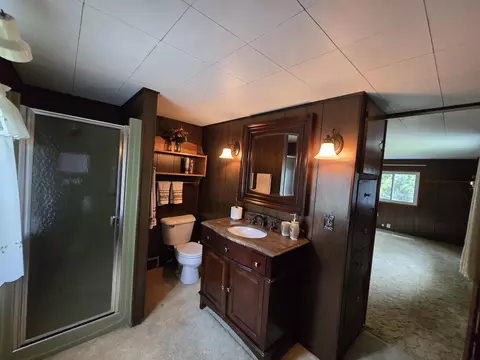 Bath - 4250 Rives Junction Rd, Jackson, MI 49201 photo 5 of 5