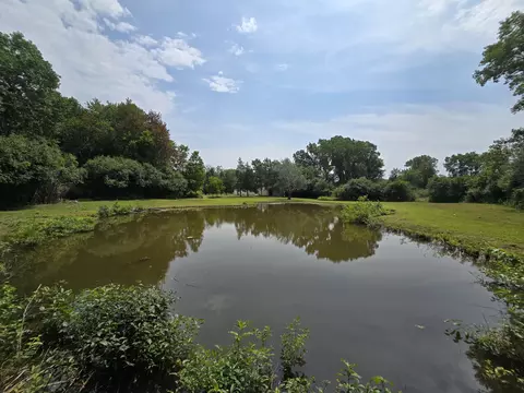 View/Area - 4250 Rives Junction Rd, Jackson, MI 49201 photo 5 of 5