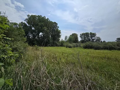 Other - 4250 Rives Junction Rd, Jackson, MI 49201 photo 41 of 42