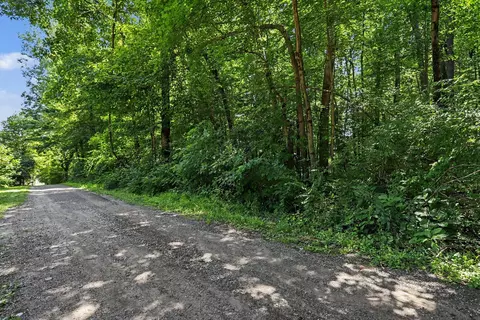 V/L Middle Road #S 45 & 46, Three Rivers, MI 49093 photo 9