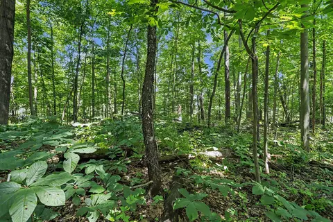 V/L Middle Road #S 45 & 46, Three Rivers, MI 49093 photo 10