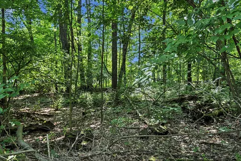 V/L Middle Road #S 45 & 46, Three Rivers, MI 49093 photo 11