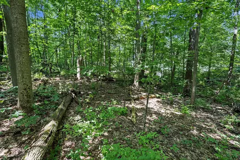 V/L Middle Road #S 45 & 46, Three Rivers, MI 49093 photo 15