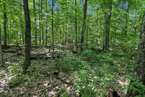 V/L Middle Road #S 45 & 46, Three Rivers, MI 49093 photo 16