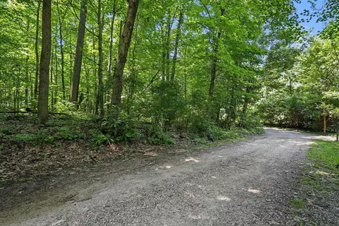 V/L Middle Road #S 45 & 46, Three Rivers, MI 49093 photo 2