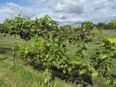 Other - 2665 E Moore Rd, Grant, MI 49327 photo 6 of 6