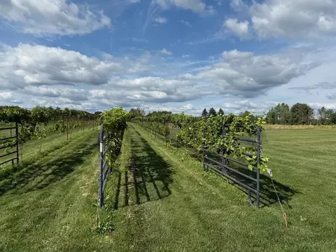 Other - 2665 E Moore Rd, Grant, MI 49327 photo 5 of 6