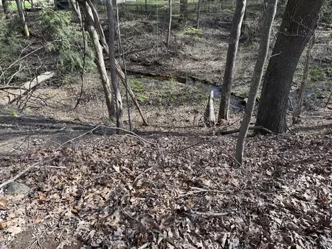 Abc Greenbush Road, Harbert, MI 49115 photo 2