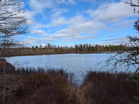Vl Slough Lake Road, Gwinn, MI 49841