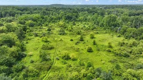 View/Area - Bunkerhill Road, Jackson, MI 49201 photo 17 of 32