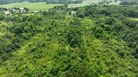 View/Area - Bunkerhill Road, Jackson, MI 49201 photo 22 of 32