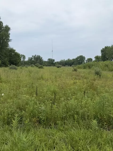 W. Linco Road - Parcel #1-a, Stevensville, MI 49127