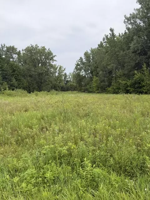 W. Linco Road - Parcel #2-b, Stevensville, MI 49127