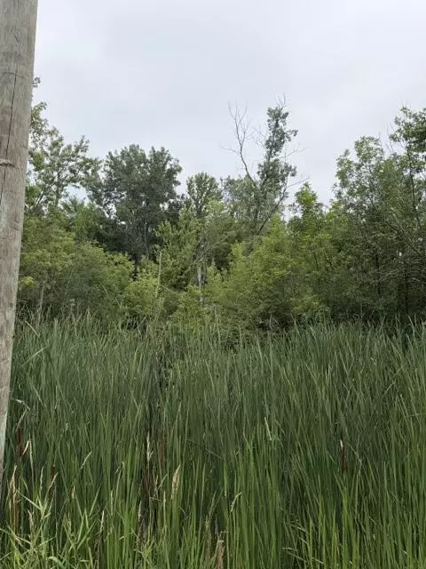 W. Linco Road - Parcel #3-c, Stevensville, MI 49127
