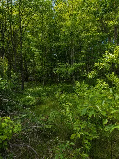 S Mill Iron Road, Muskegon, MI 49442