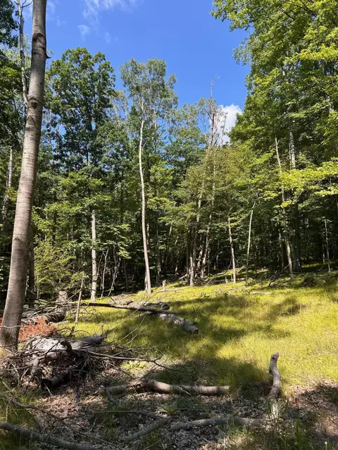 11992 Cheyenne Wells Trl, Canadian Lakes, MI 49346