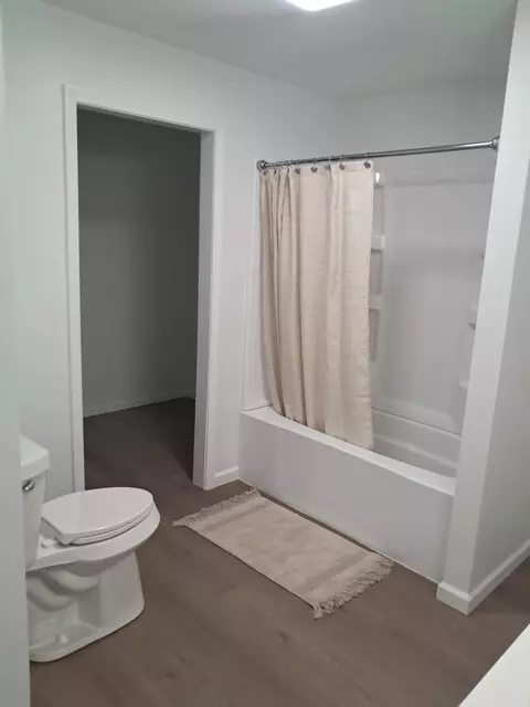 Bath - 412 4th Ave, Three Rivers, MI 49093 photo 2 of 3