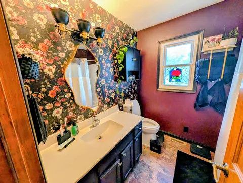 Bath - 460 3rd St, Sunfield, MI 48890 photo 1 of 1