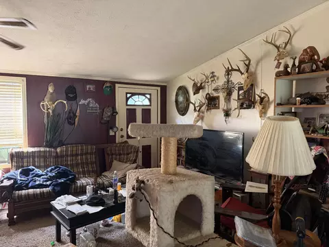 5692 E Loop Rd, Hesperia, MI 49421 photo 10