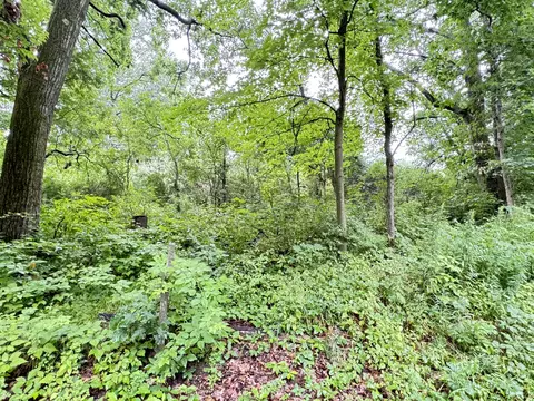 1246 S Locust Ave, White Cloud, MI 49349 photo 6