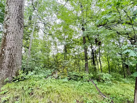 1246 S Locust Ave, White Cloud, MI 49349 photo 7