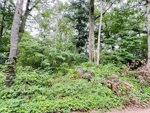 1246 S Locust Ave, White Cloud, MI 49349 photo 5