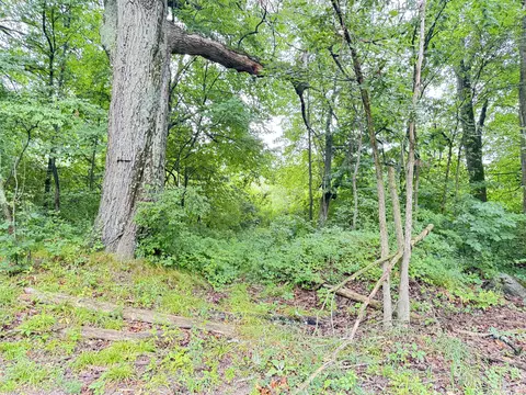 1246 S Locust Ave, White Cloud, MI 49349 photo 3