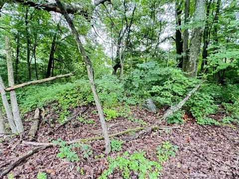 1246 S Locust Ave, White Cloud, MI 49349 photo 8