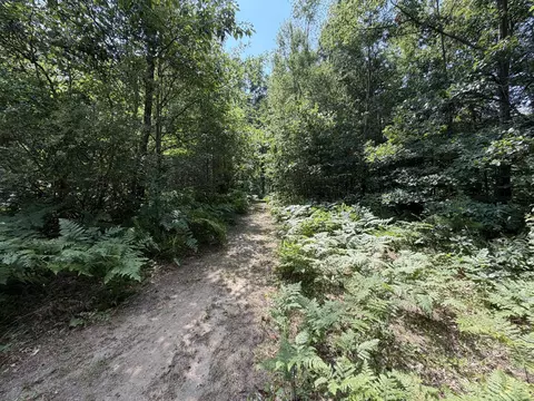 Other - 1585 Clinton Ln, White Cloud, MI 49349 photo 23 of 29