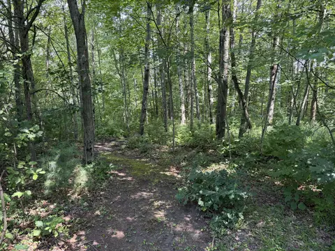 Exterior - 1585 Clinton Ln, White Cloud, MI 49349 photo 9 of 13