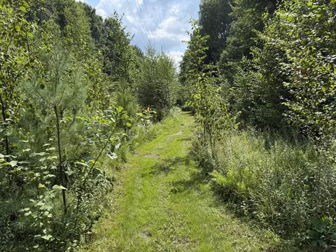 Other - 1585 Clinton Ln, White Cloud, MI 49349 photo 7 of 29